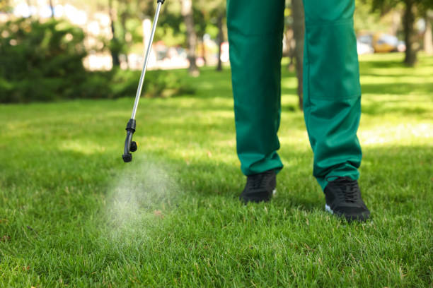  West Odessa, TX Pest Control Pros