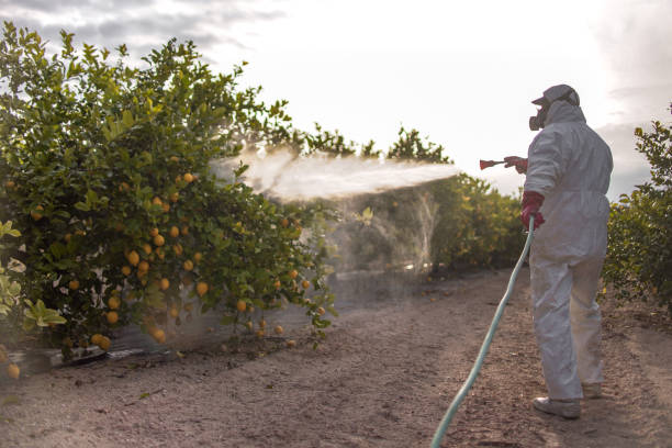 Best Pest Control Near Me in West Odessa, TX