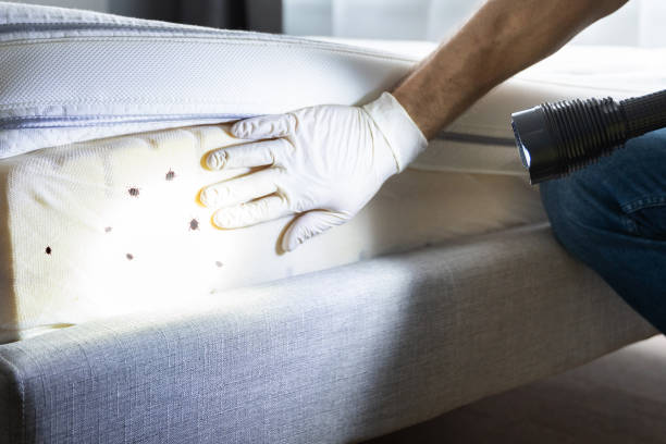 Best Pest Control for Restaurants  in West Odessa, TX