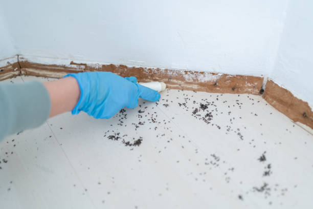 Best Wildlife Control Services  in West Odessa, TX