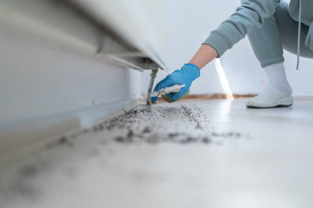 Best Pest Prevention Services  in West Odessa, TX