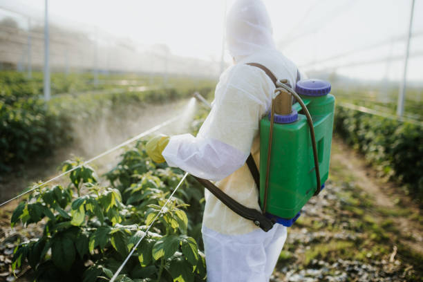 Best Affordable Pest Control Services  in West Odessa, TX